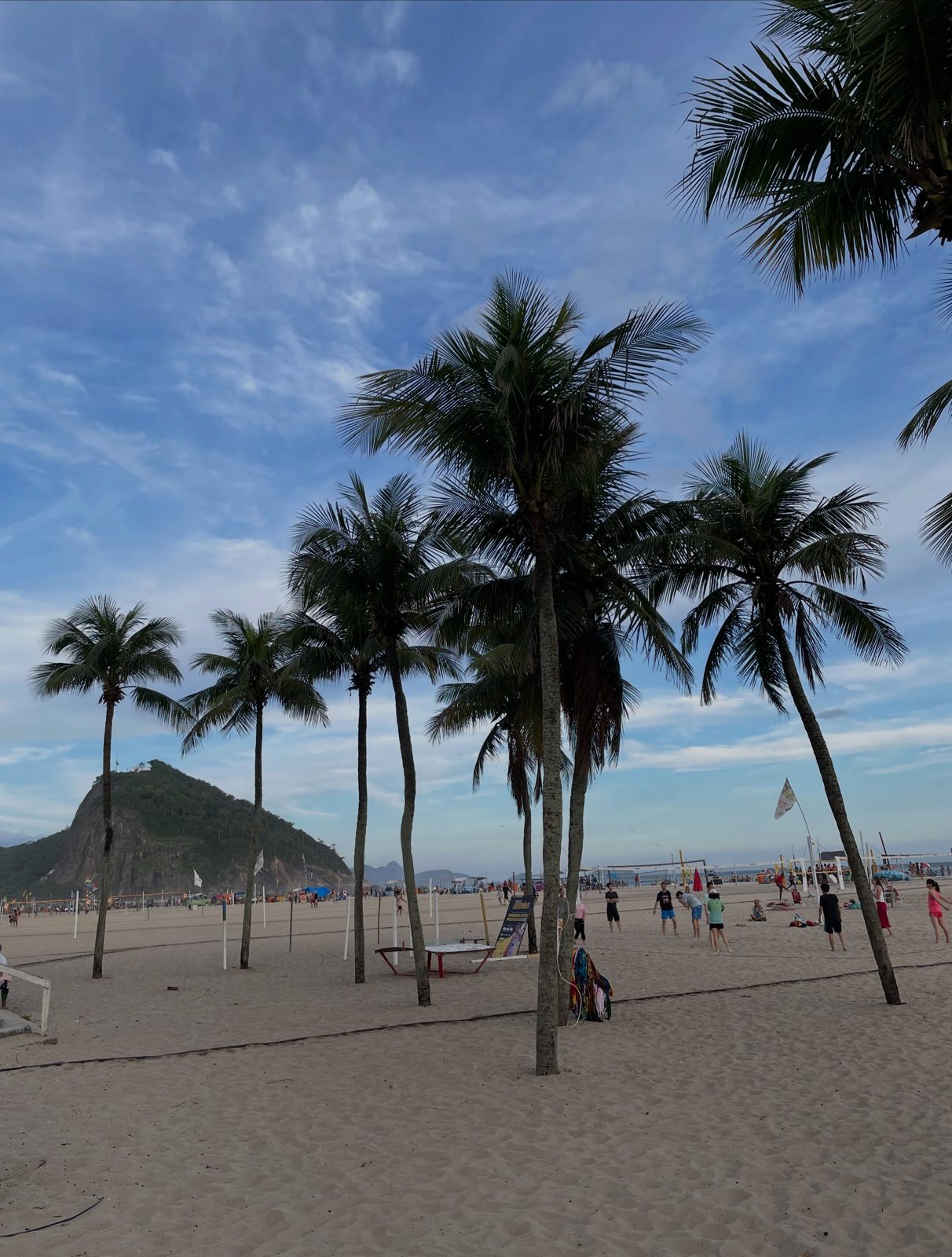 Palmen und Strand an der Copacabana